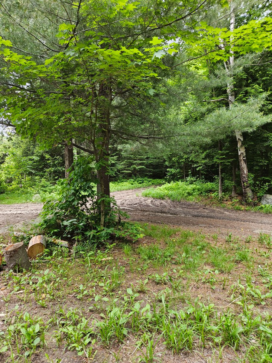 Photo of Nice lake front site