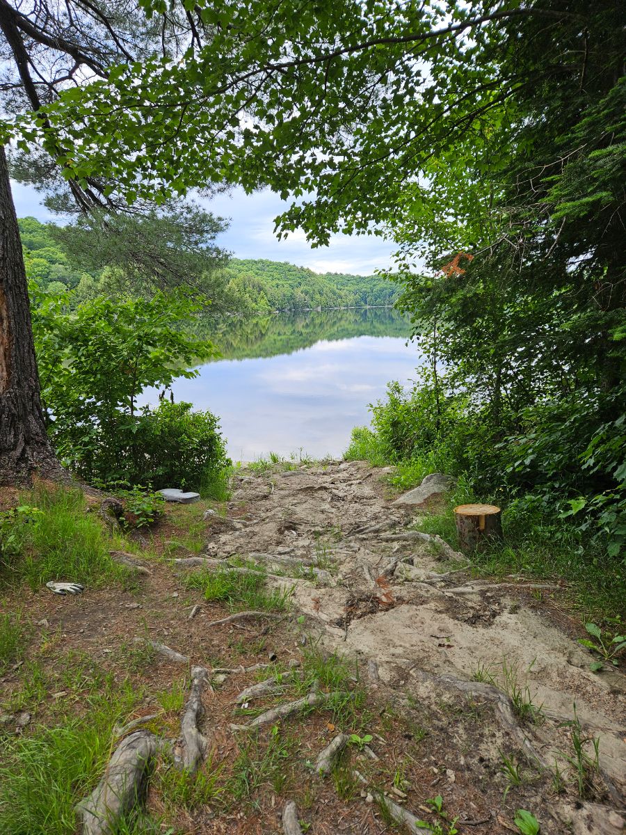 Paysage de camping pour Nice lake front site