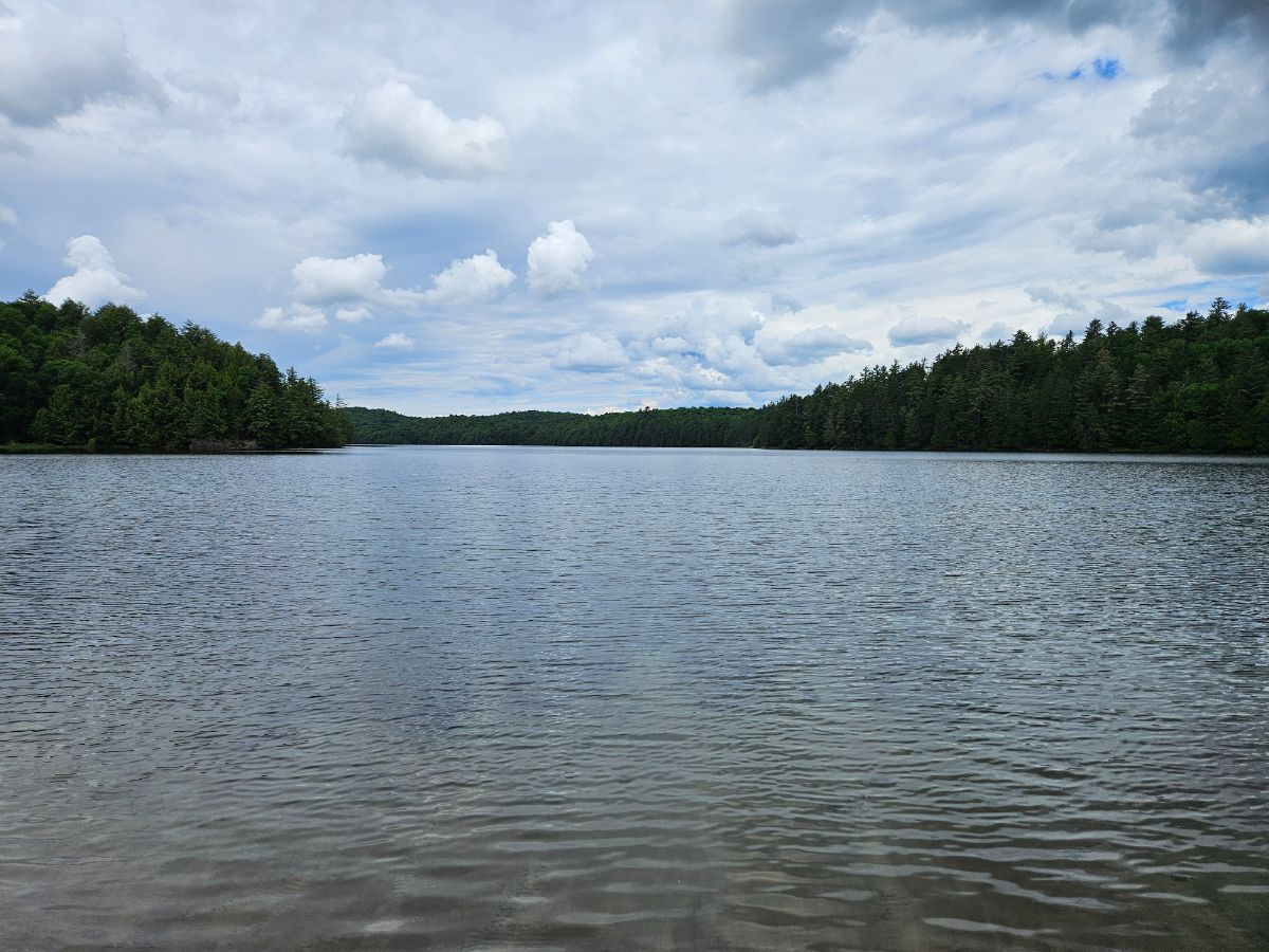 Paysage de camping pour Multiple sites on lake (huge group)