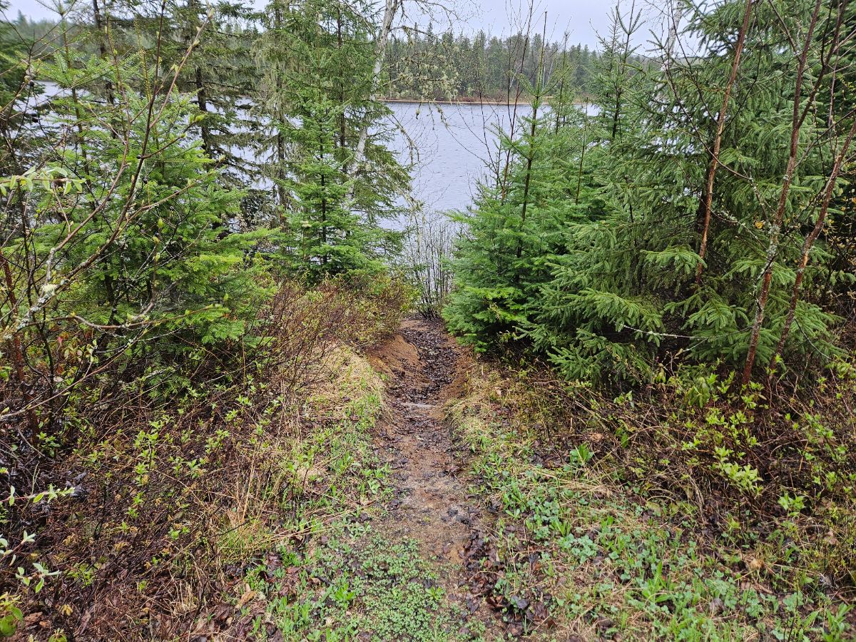 Photo of Nice site on the lake