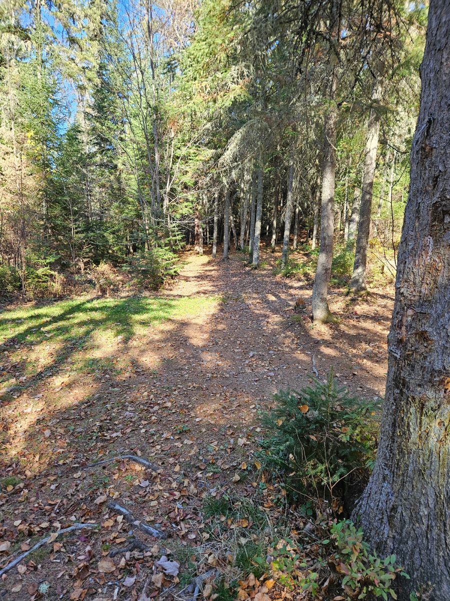 Photo of Du Pont site