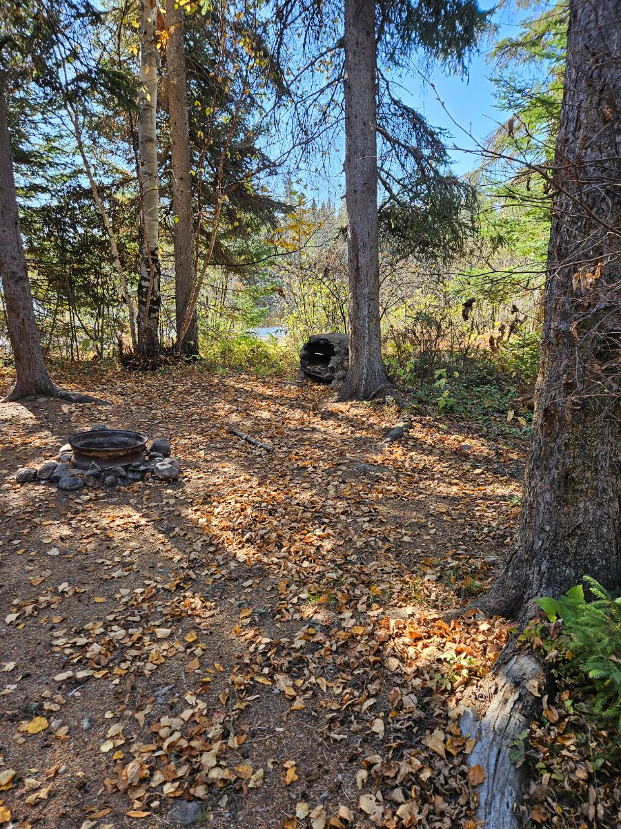 Photo of Du Pont site
