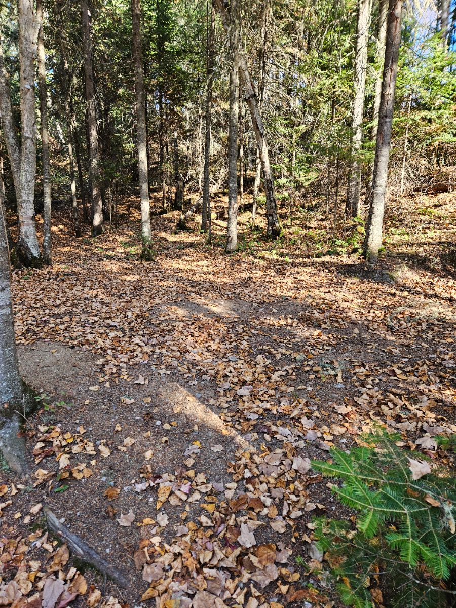 Photo of Du Pont site