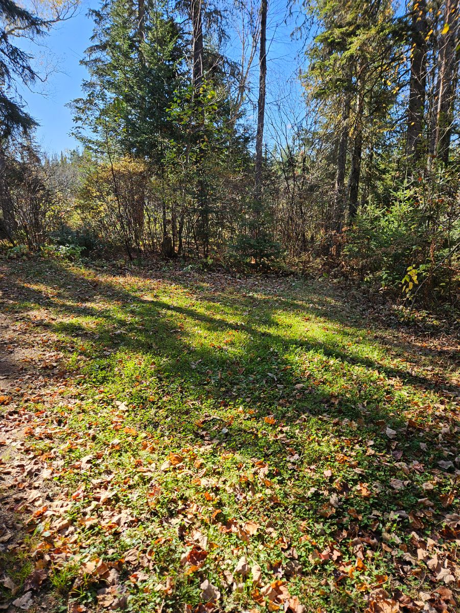 Photo of Du Pont site