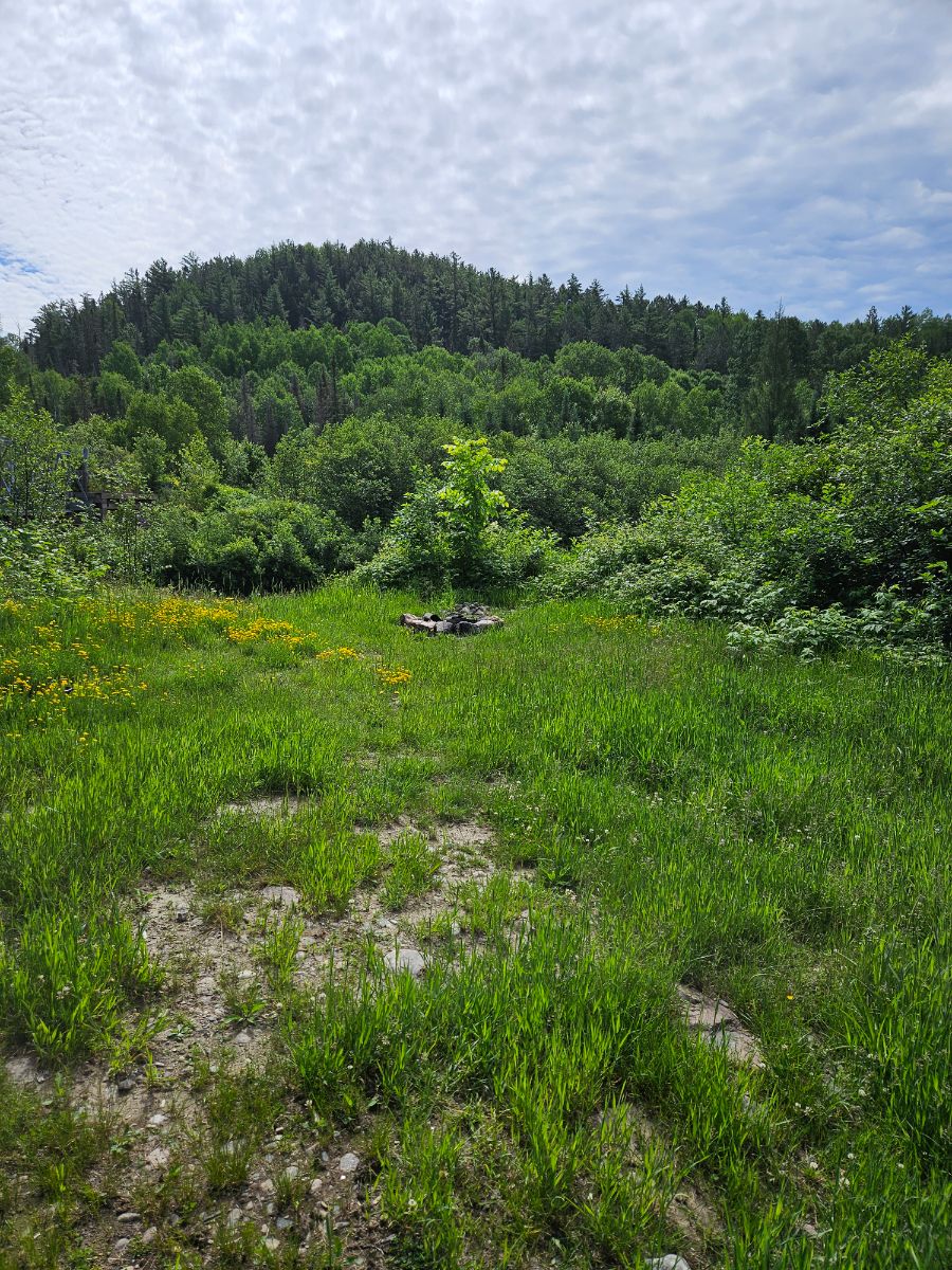 Photo of River Bridge Side Site