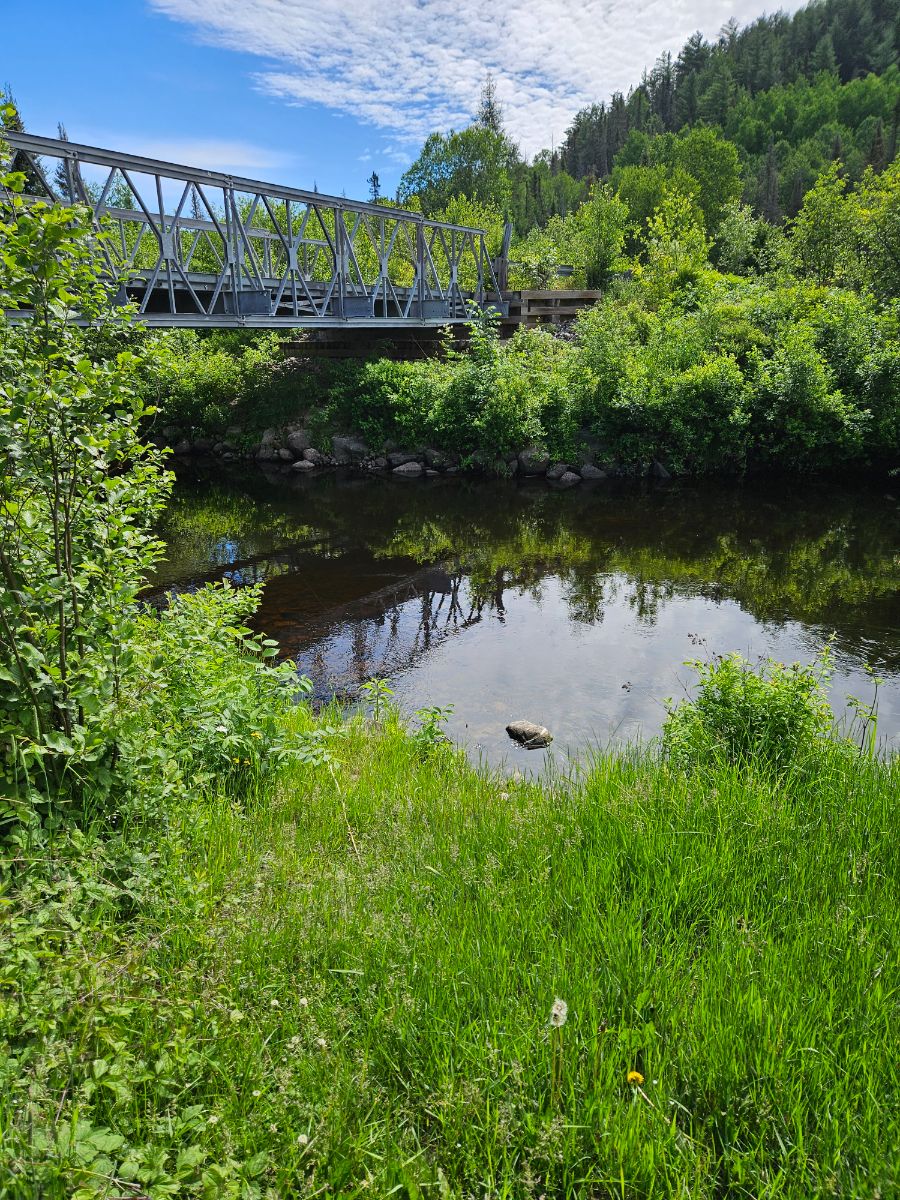 Paysage de camping pour River Bridge Side Site