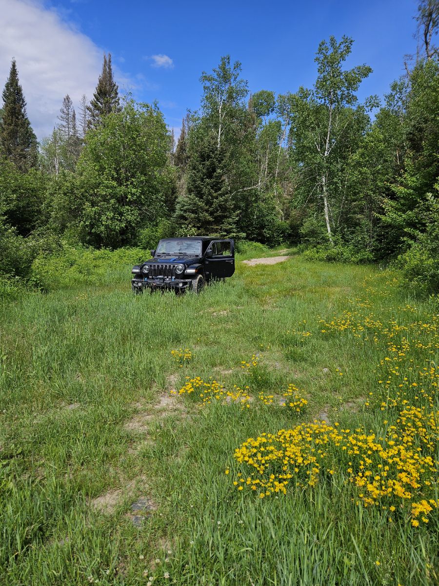 Photo of River Bridge Side Site