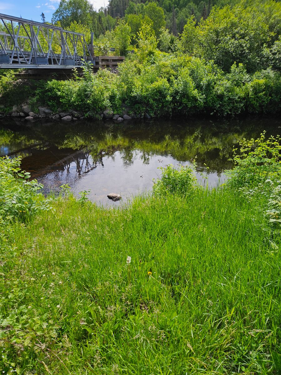 Photo of River Bridge Side Site