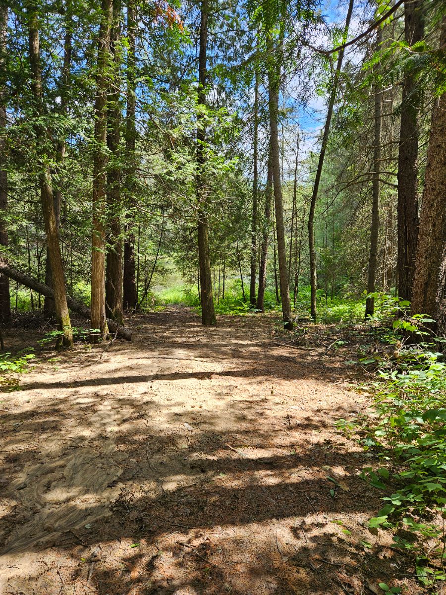Photo de Very quiet Pond Site