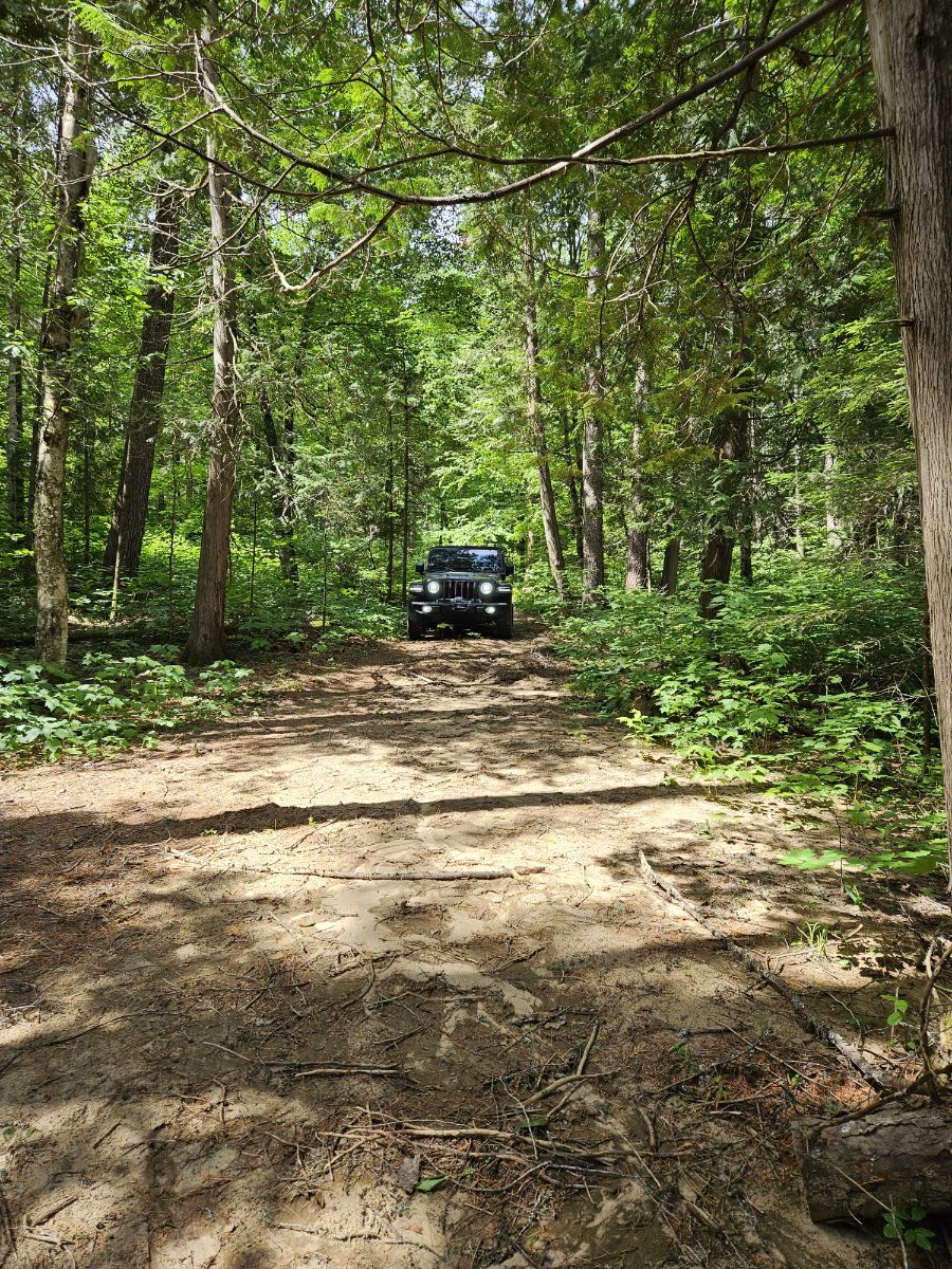 Photo of Very quiet Pond Site