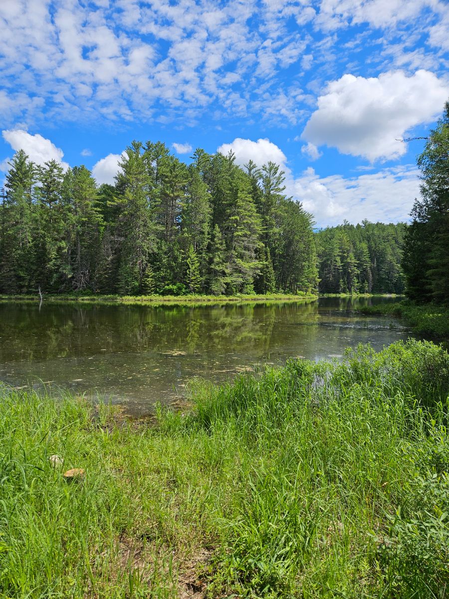 Paysage de camping pour Very quiet Pond Site