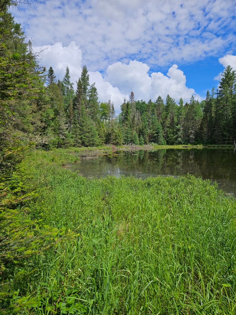Photo de Very quiet Pond Site