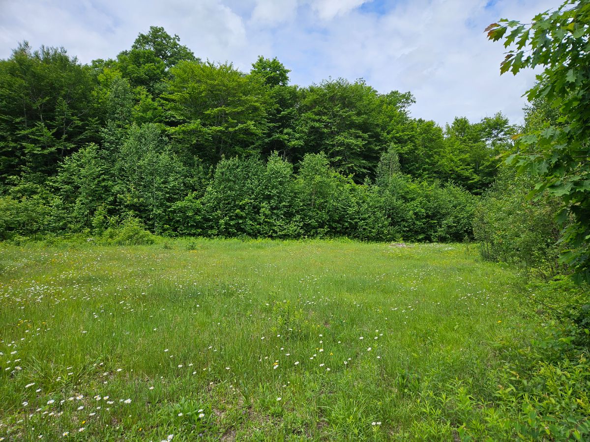 Paysage de camping pour Group site at end of side trail