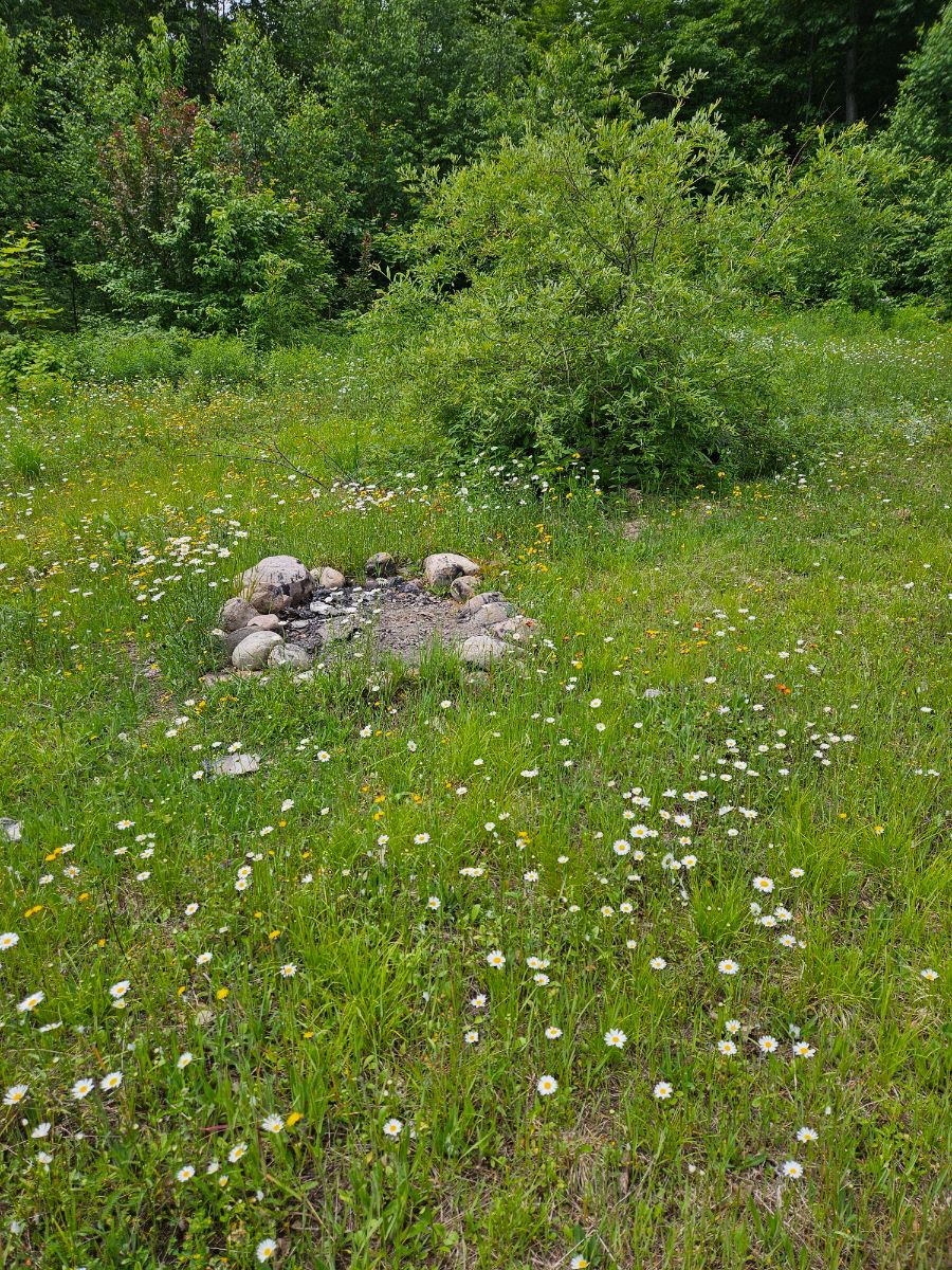 Photo of Group site at end of side trail