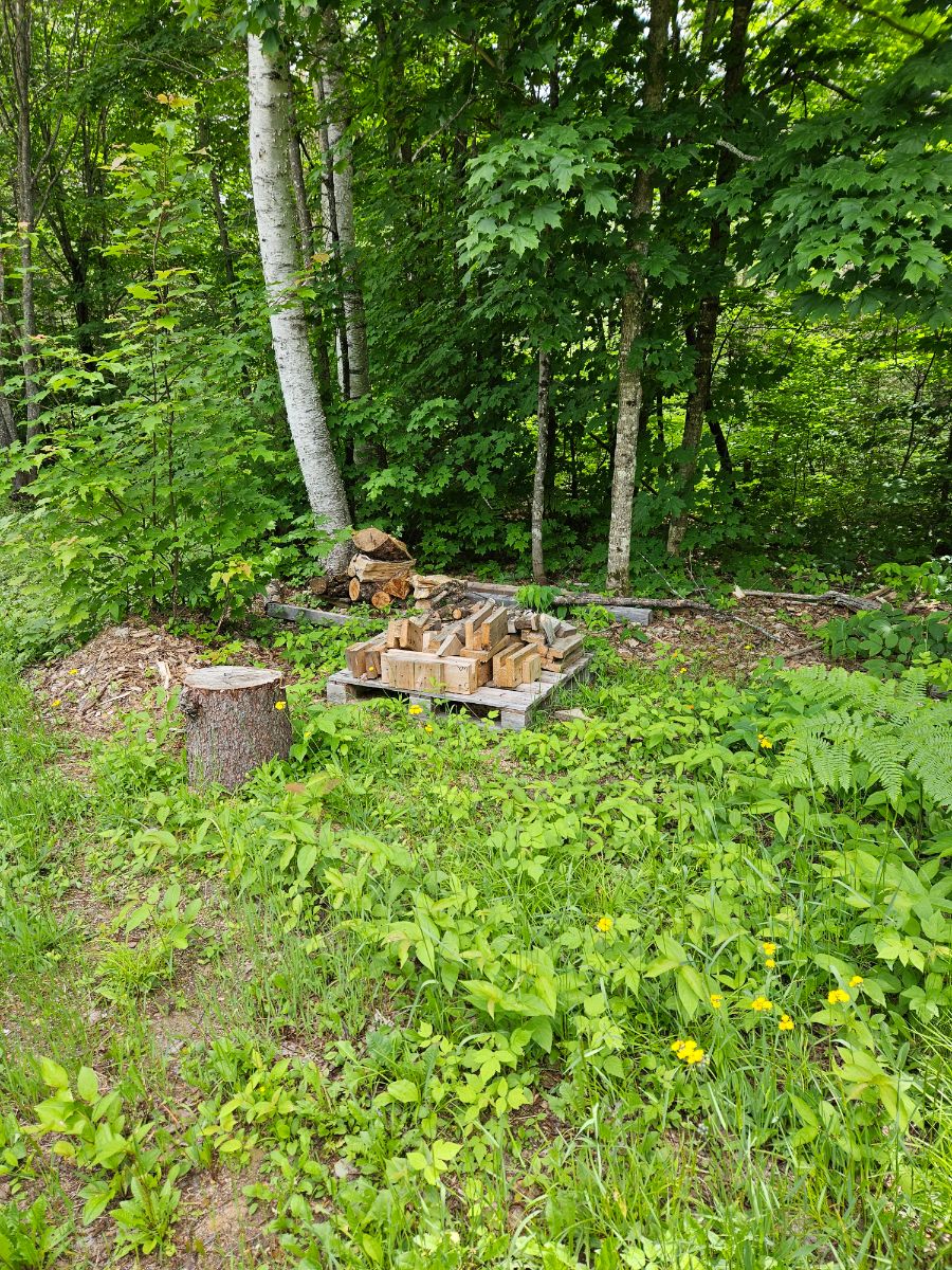 Photo of Group site on side trail 2