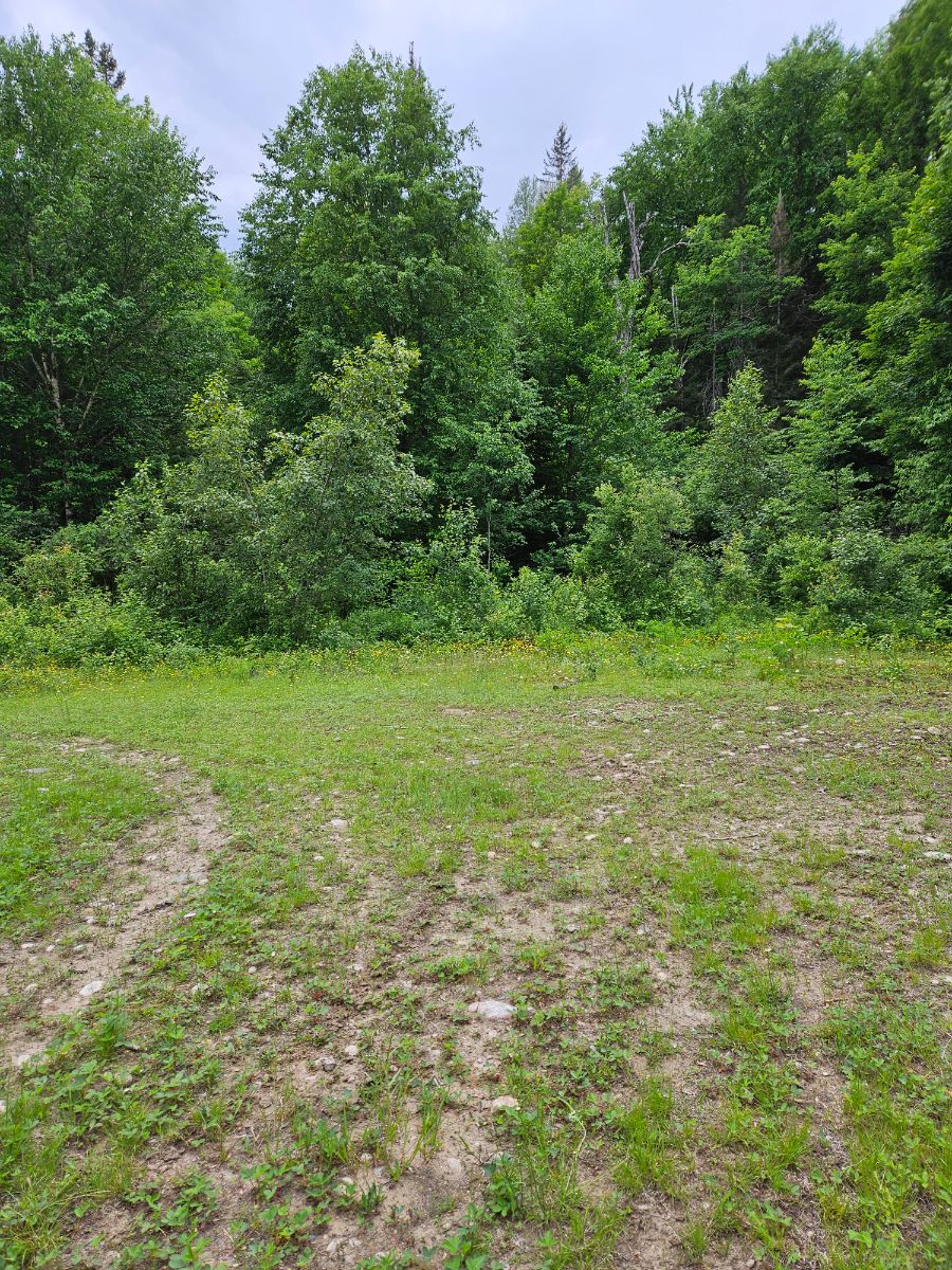 Photo of Group site at end of side trail 4